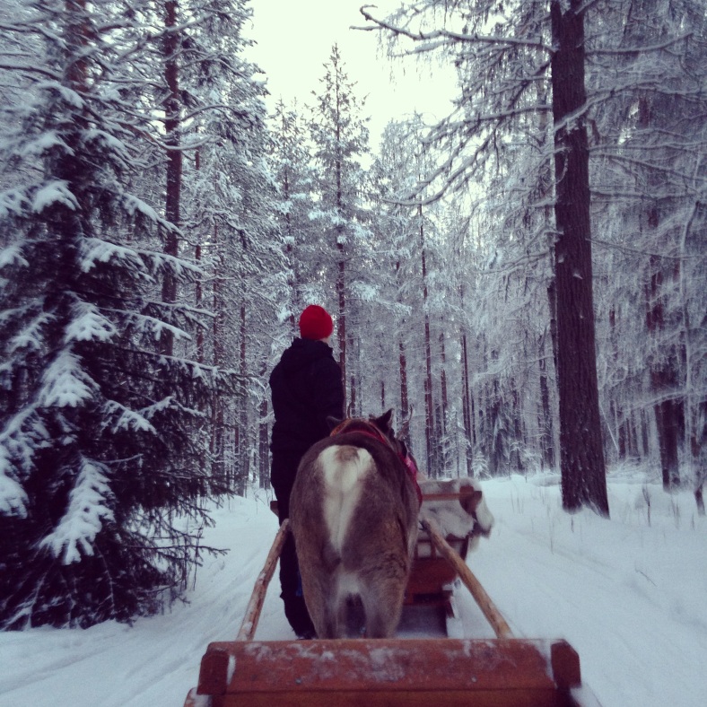 reindeer sleigh ride